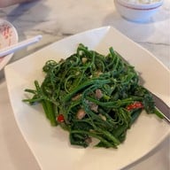 เหลาเหลา อารีย์