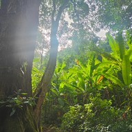 บรรยากาศ เนินส่งญาติ