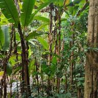 บรรยากาศ เนินส่งญาติ