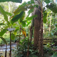 บรรยากาศ เนินส่งญาติ