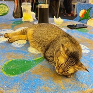 จ่าต่อ.ไม่ได้ตำ Jartor.Maidaitum