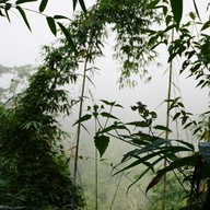 บรรยากาศ เนินส่งญาติ