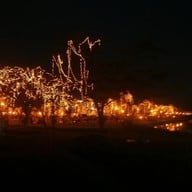 บรรยากาศ สวนหลวง ร. 9