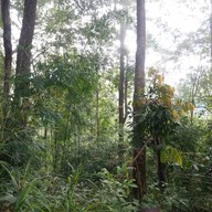 บรรยากาศ เนินส่งญาติ