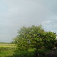 บรรยากาศ หาดสวนสนประดิพัทธ์