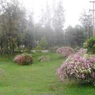 บรรยากาศ หาดสวนสนประดิพัทธ์