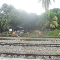 บรรยากาศ หาดสวนสนประดิพัทธ์