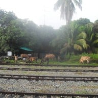 บรรยากาศ หาดสวนสนประดิพัทธ์