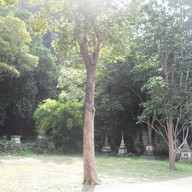 บรรยากาศ วัดถ้ำเขาชุมดง