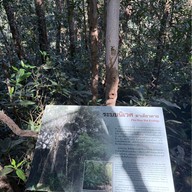 ผาเดียวดาย