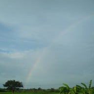 บรรยากาศ วัดม่วง อ่างทอง