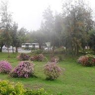 บรรยากาศ หาดสวนสนประดิพัทธ์