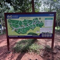 ผายายเที่ยง