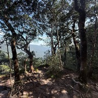 ผาเดียวดาย