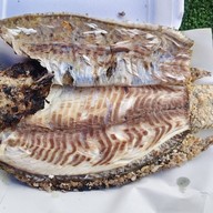 กระเพราหมูกรอบ (อาหารตามสั่ง) ชื่อร้านตําเมามัน(ป้ายสีเหลือง)