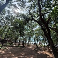 ผายายเที่ยง