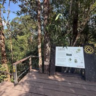 ผาเดียวดาย