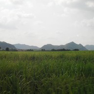 บรรยากาศ วัดถ้ำเขาชุมดง