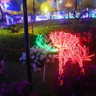 บรรยากาศ อุทยานหลวงราชพฤกษ์