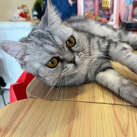 Maison10/5 พญาไท