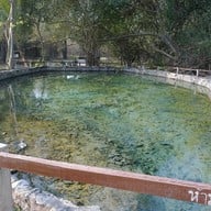 บรรยากาศ บ่อน้ำพุร้อนหนองหญ้าปล้อง