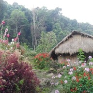 บรรยากาศ บ้านม้งดอยปุย