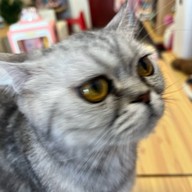 Maison10/5 พญาไท