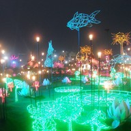 บรรยากาศ อุทยานหลวงราชพฤกษ์