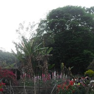 บรรยากาศ บ้านม้งดอยปุย