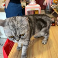 Maison10/5 พญาไท