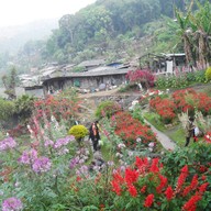 บรรยากาศ บ้านม้งดอยปุย