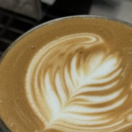 Himalaya arabica coffee(สันอุ้ม) ดอยสะเก็ด เซ็นเตอร์พาร์ค