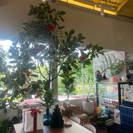 Summer Rain Cafe&Casual Dining