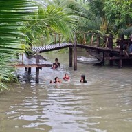 ริมสวนคาเฟ่@สวนป่าคลองบางประทุน