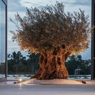 Hidden House Cafe & Bistro