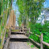 เหลียงซานคอฟฟี่ฮิลล์ liangshan coffee