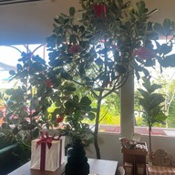 Summer Rain Cafe&Casual Dining