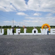 บรรยากาศ บ้านกล้วย&ไข่