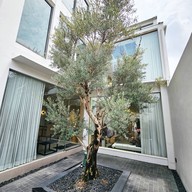 Daily Theory	 เจริญนคร