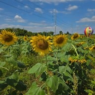 บรรยากาศ บ้านกล้วย&ไข่