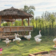 ธรรมชาติ อิสาน บีช คาเฟ่ พระยาสุเรนทร์