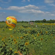 บรรยากาศ บ้านกล้วย&ไข่