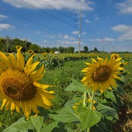 บรรยากาศ บ้านกล้วย&ไข่