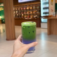 NORTHLANDTEA สนามบินน้ำ