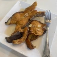 ไทยเสรี แสงชูโต