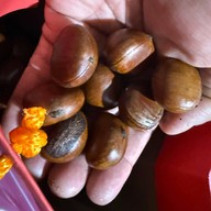 เมนูของร้าน เฉีย เก๋าลัดเยาวราช