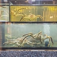 มุมอร่อย ศรีราชา ศรีราชา