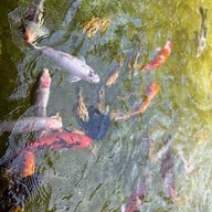 Chirp Cafe and Chat Space Chirp Cafe and Chat Space