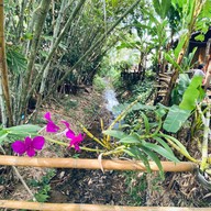 ร้านไส้อั่วยายแก้ว ปัว