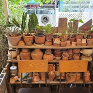 Lykke Coffee (ลุกกะคอฟฟี่)